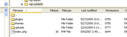 wp-contents folder