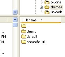 themes folder